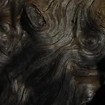 La Couette De L'ours