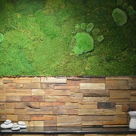 Bed & Breakfast La Couette De L'ours 5*