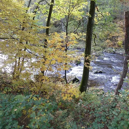 La Couette De L'ours Bed and Breakfast