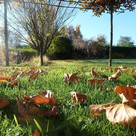 La Couette De L'ours Bed and Breakfast