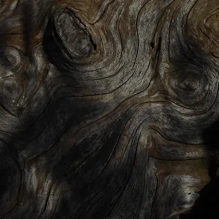 La Couette De L'ours