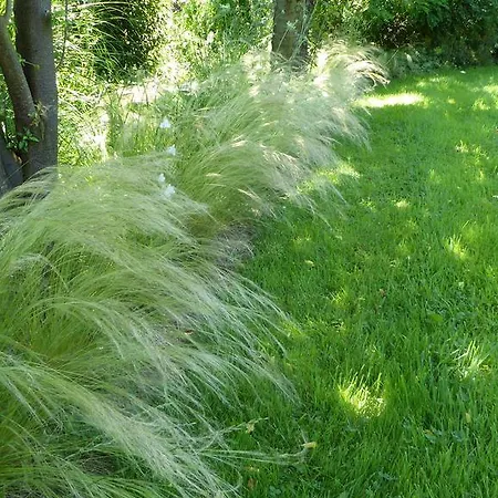 La Couette De L'ours