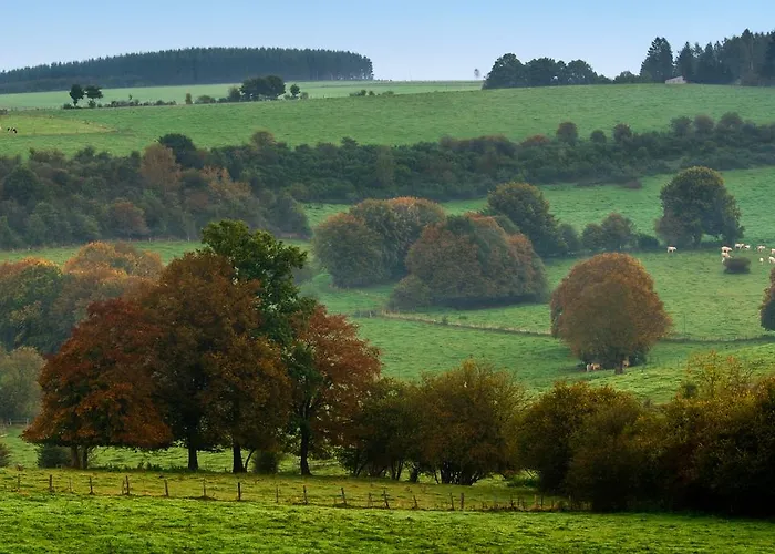 La Couette De L'ours