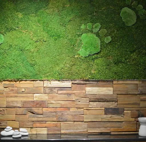 Bed & Breakfast La Couette De L'ours 5*