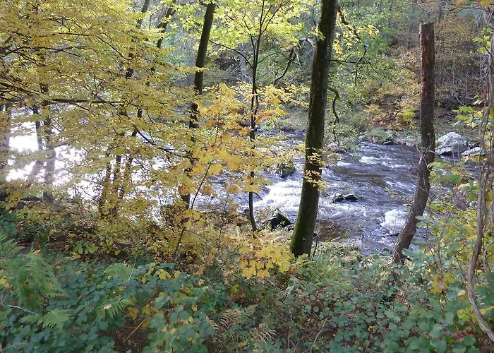 La Couette De L'ours Bed & Breakfast