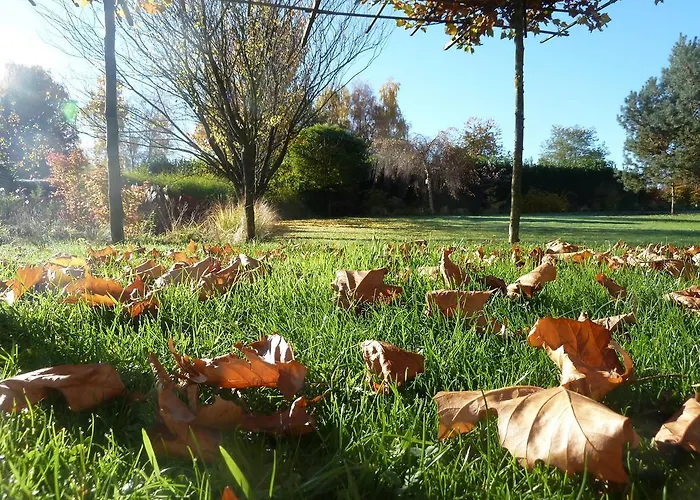 La Couette De L'ours Bed & Breakfast