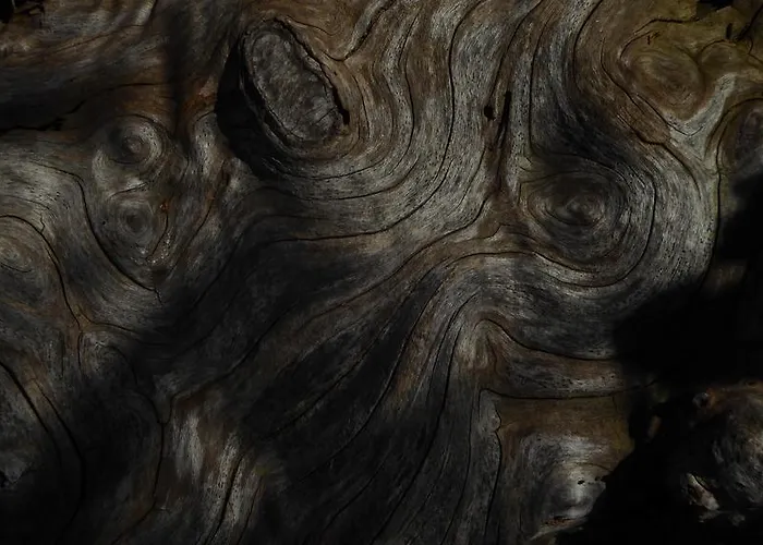 La Couette De L'ours