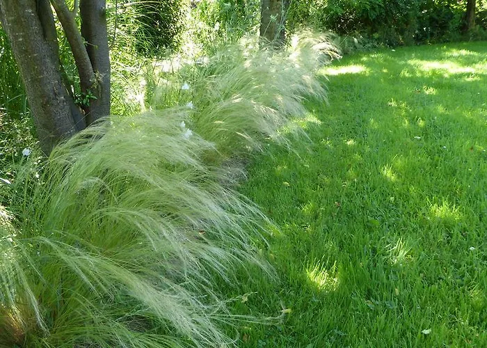 La Couette De L'ours